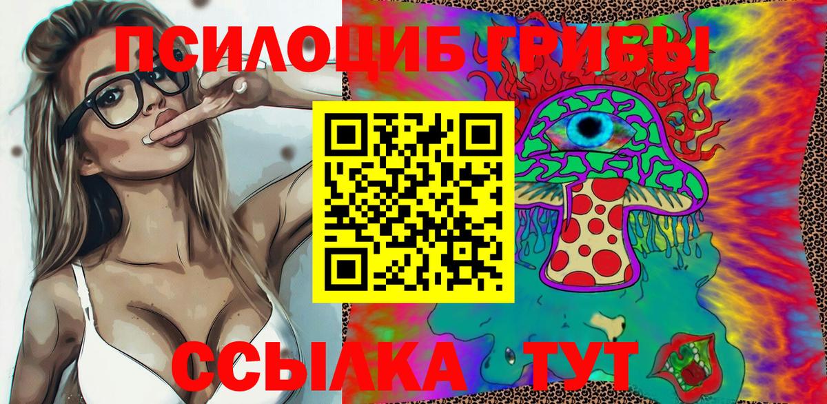 Псилоцибиновые грибы Cubensis Новотроицк
