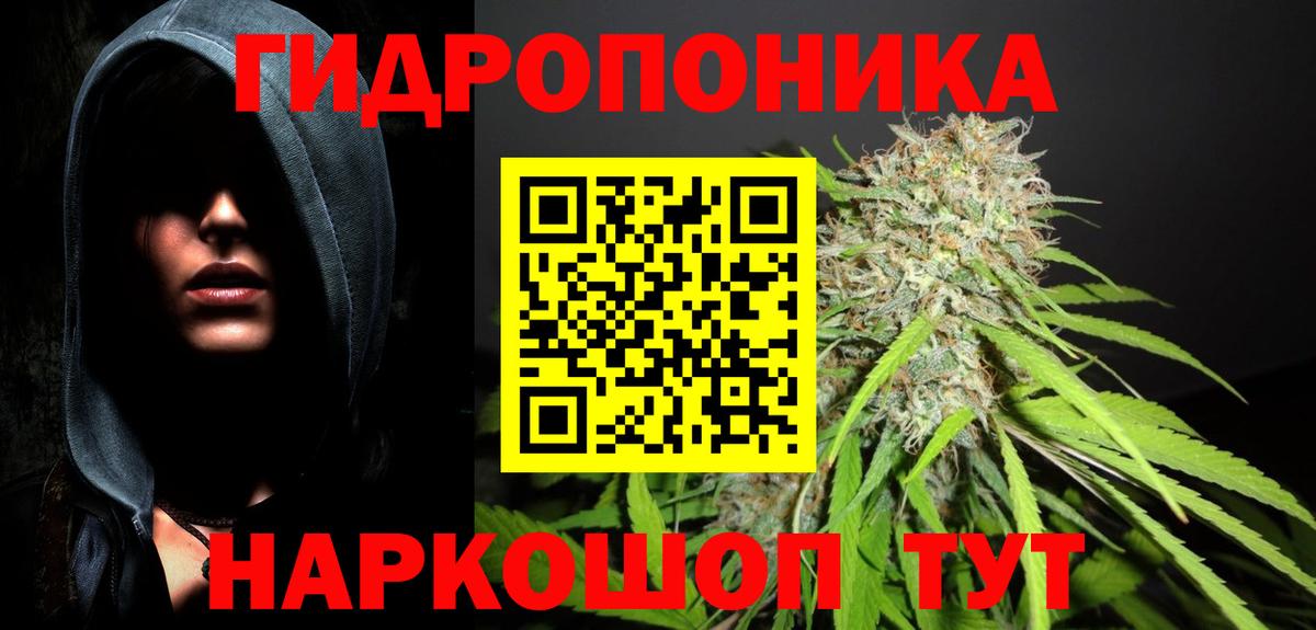 Бошки Шишки THC 21% Новотроицк
